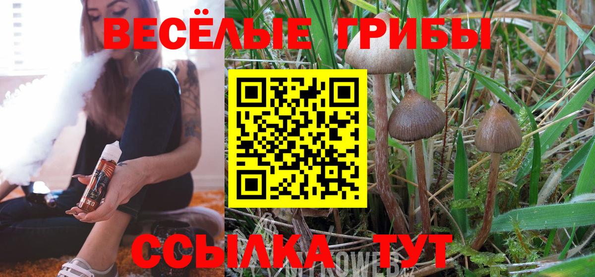 Галлюциногенные грибы мухоморы  Вход с VPN  что такое наркотик  Воскресенск 